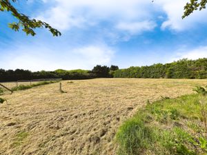 Field- click for photo gallery